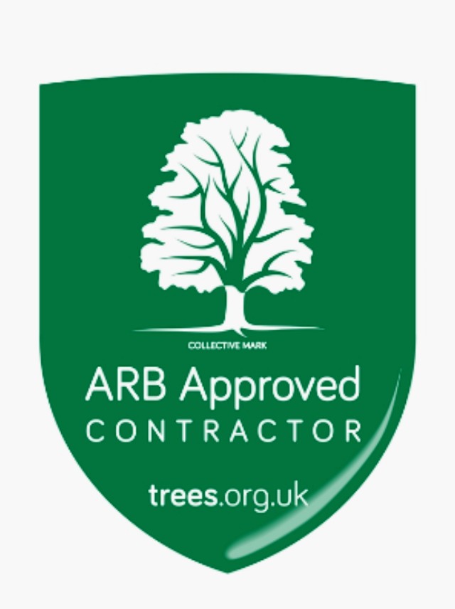 Arboricultural Association Approved